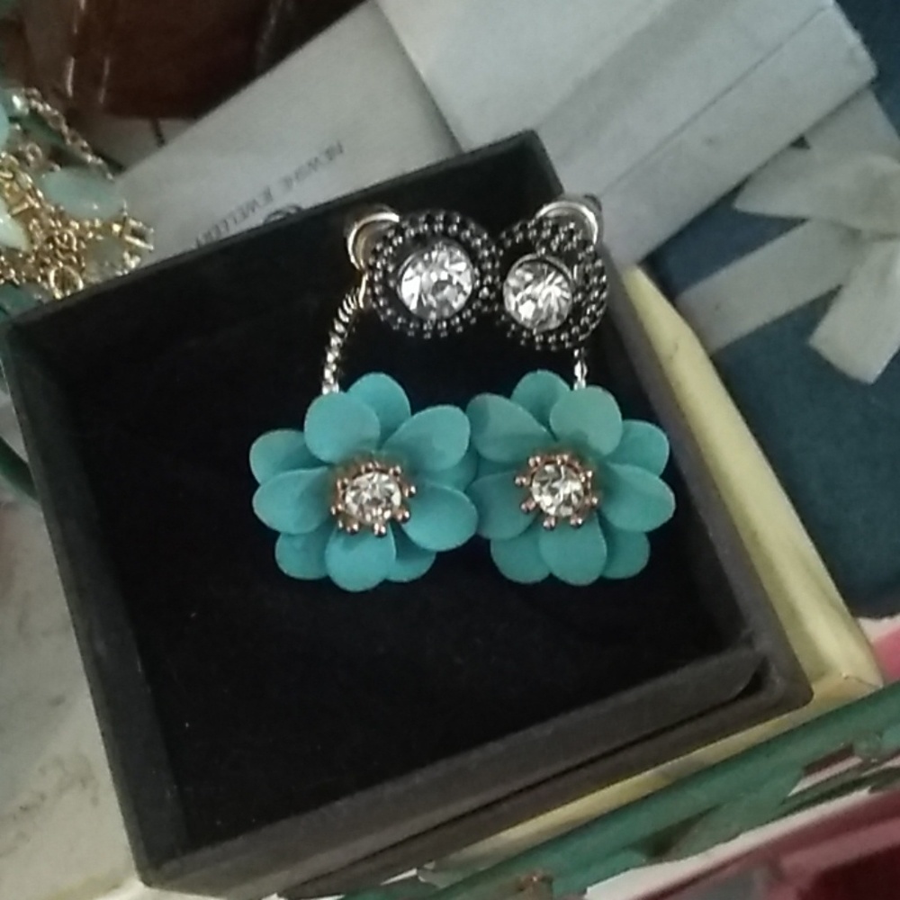 Pierced Earrings